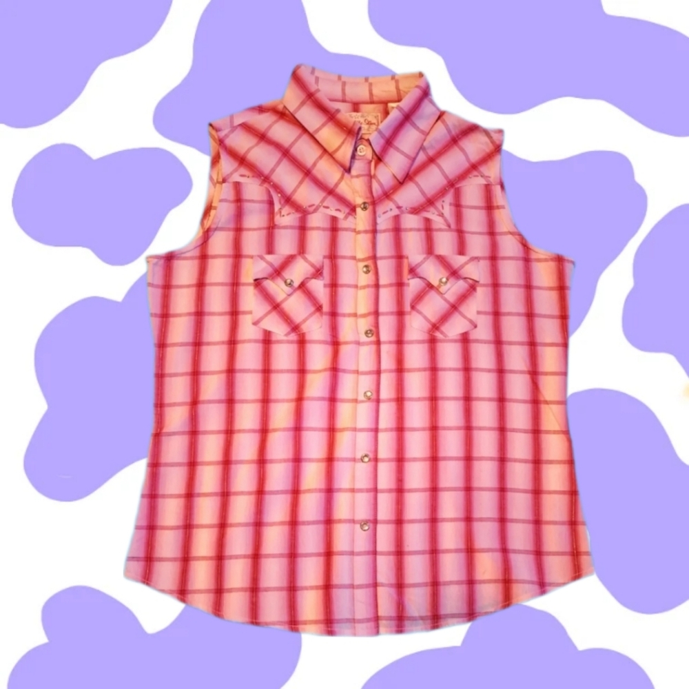 Panhandle Slim Pink Plaid Top